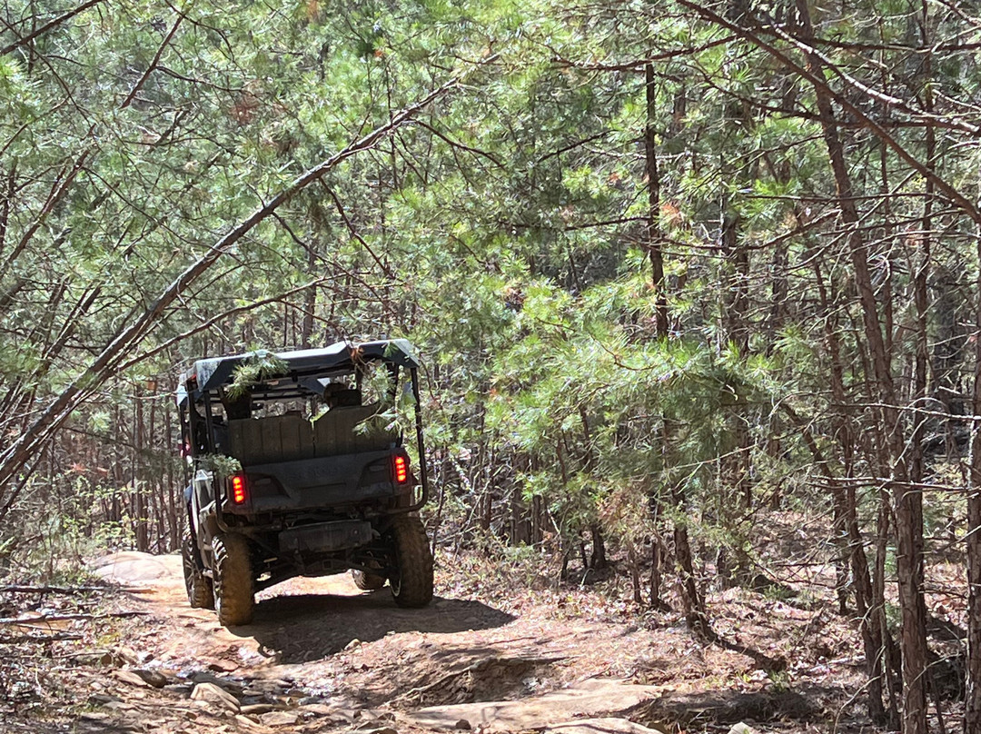ATV Excursions景点图片