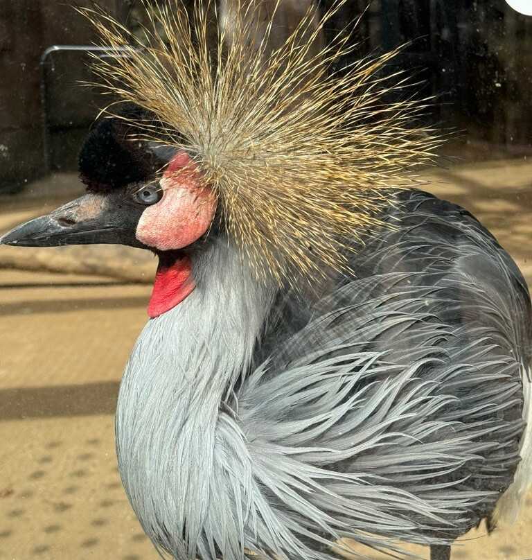 Seoul Grand Park-果川市必去景点