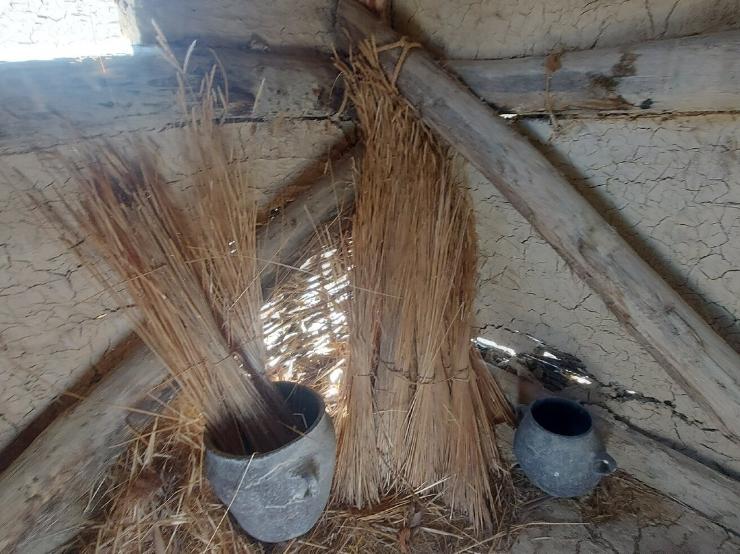 Bay of the Bones Museum-奥赫里德必去景点