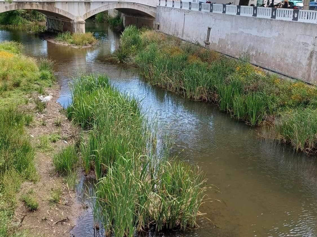 Ponte De Aljezur景点图片