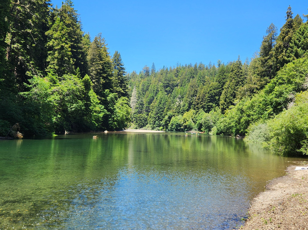 Gualala River Redwood Park景点图片