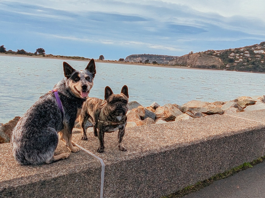 Sumner Bay Motel主图