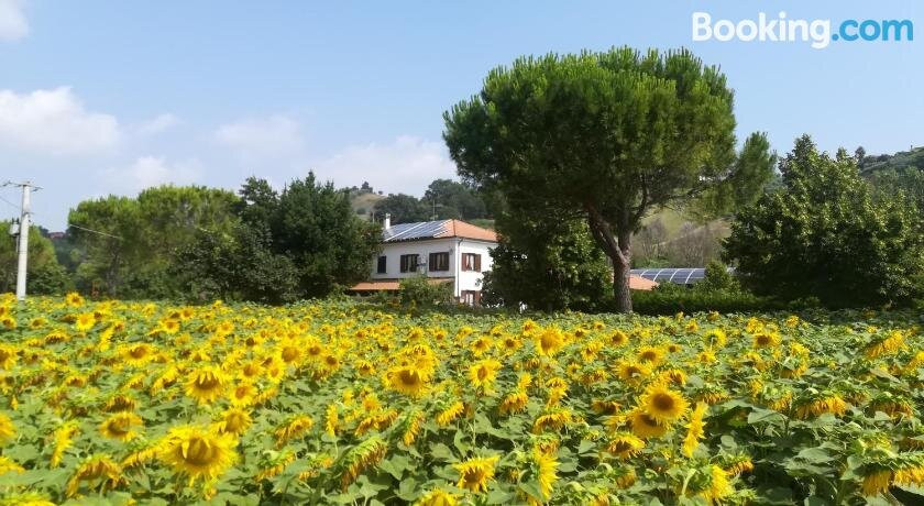 Agriturismo Chicchirichi