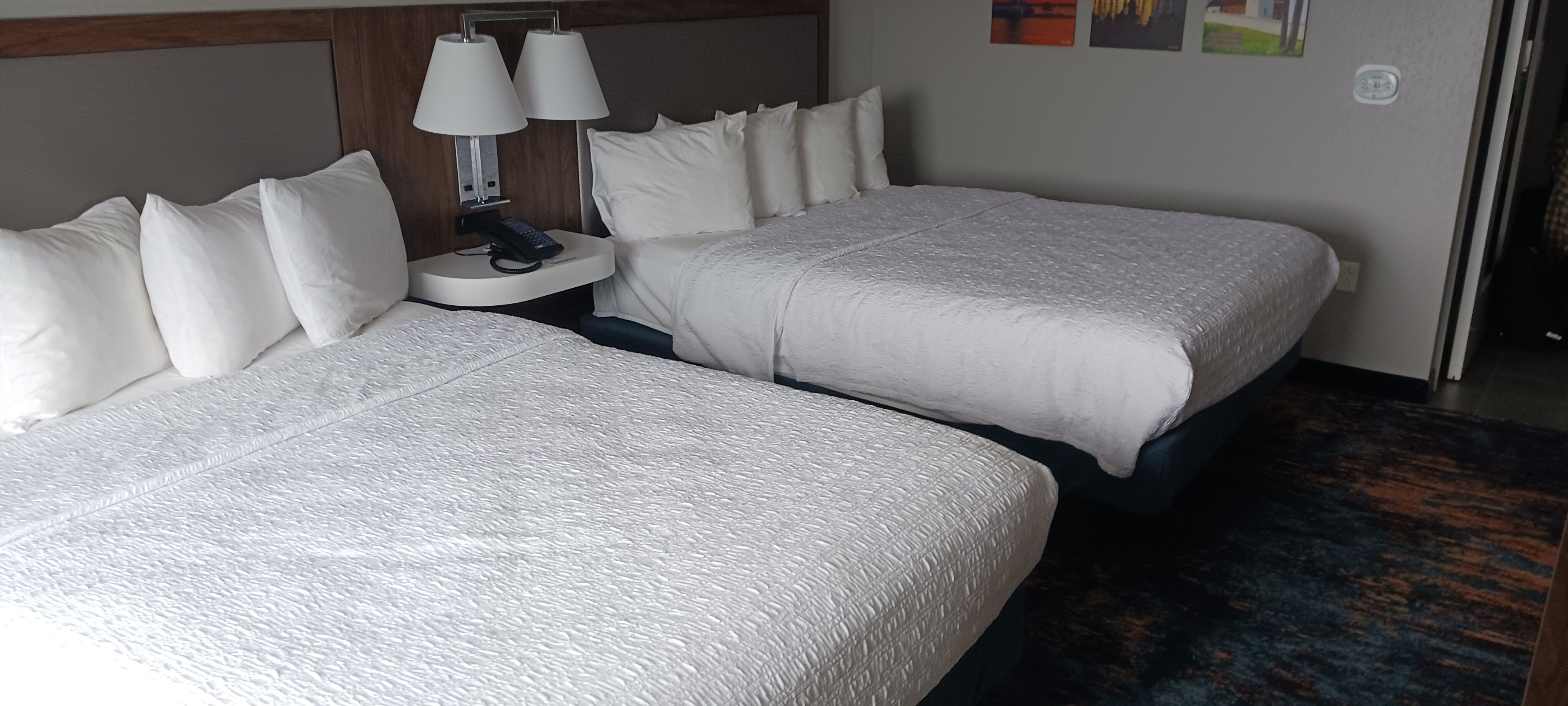 伊利湾/汉普顿酒店及套房-客卧