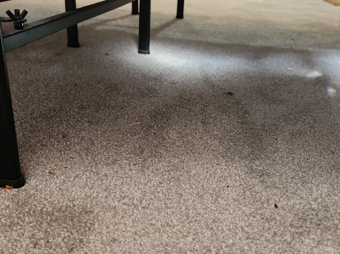 Country Inn - Licking主图