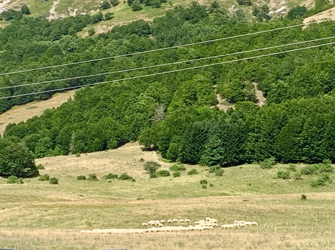 Rifugio Passo Godi-Scanno必去景点