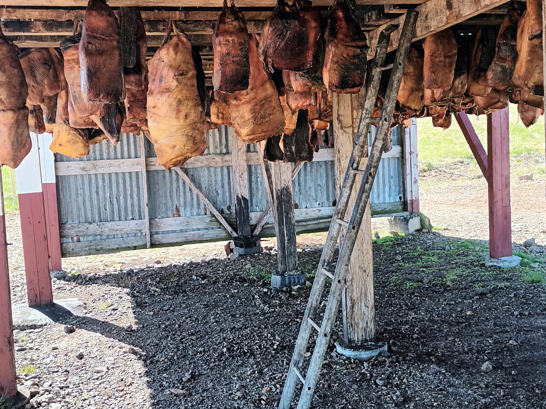 Bjarnarhofn Shark Museum-Bjarnarhofn必去景点
