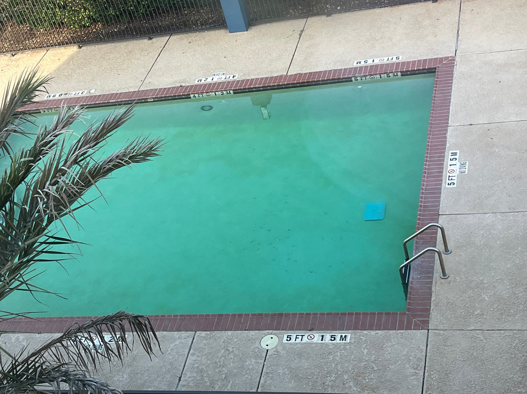 Best Western Orange Inn & Suites主图