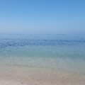 la_viajera_constanta