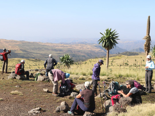 Highland Ethiopia Tours