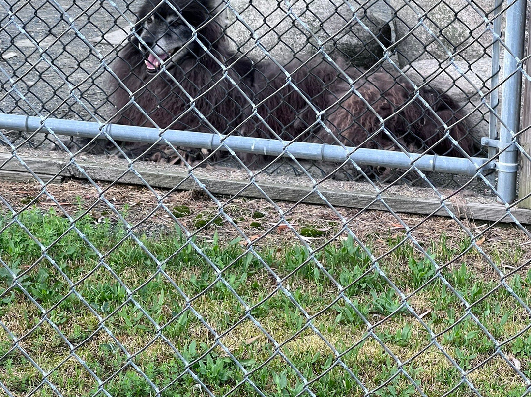 Kisma Preserve-Trenton必去景点