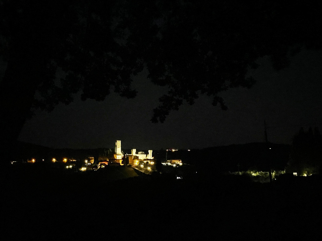 Badia a Passignano景点图片