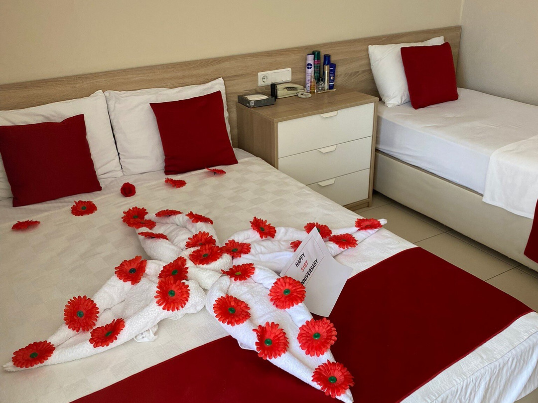 Altinersan Hotel主图