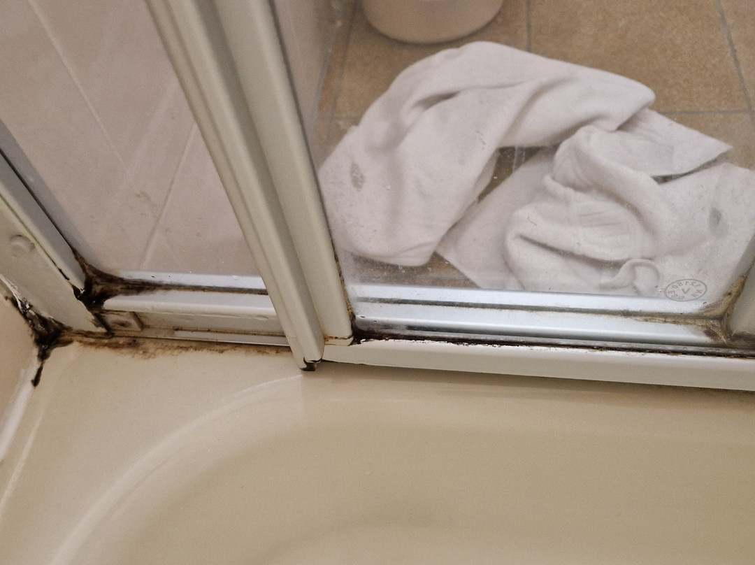 Stadthotel Bartels主图