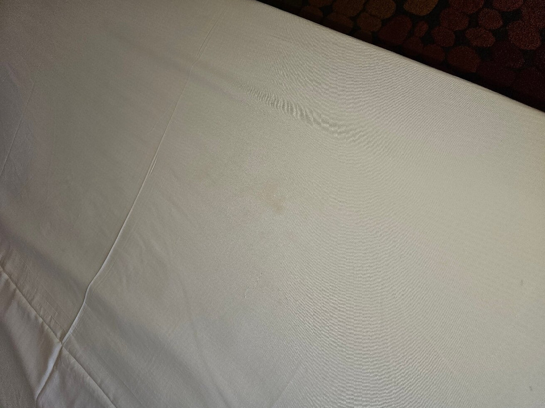 PortSaid Hotel主图