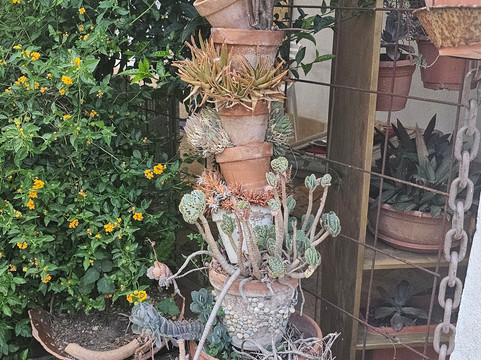 梅斯 1868 民宿主图