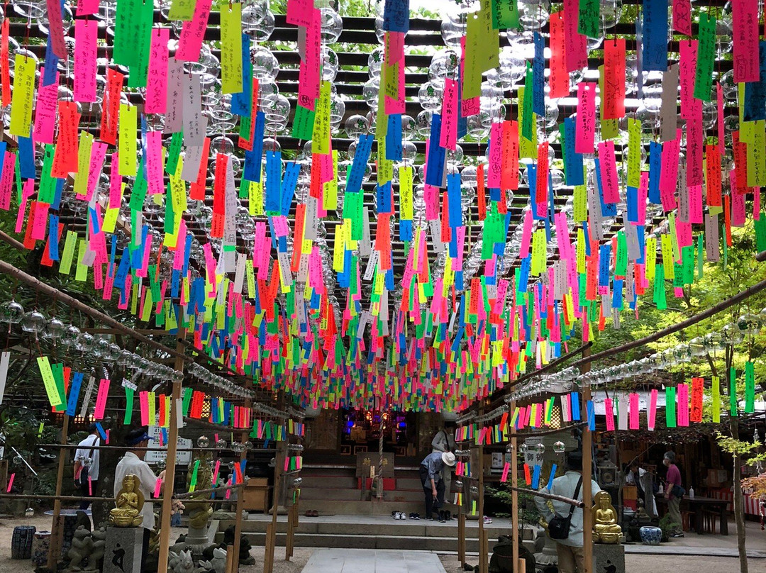 Nyoirinji Temple景点图片