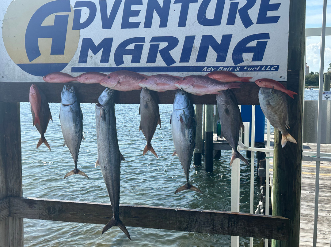 Destin Coast Charters景点图片
