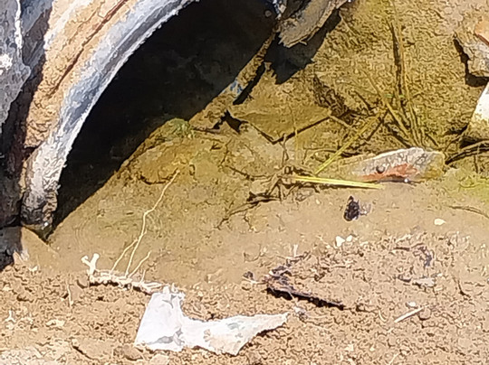 Bella Resort & Spa主图