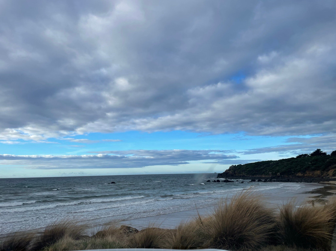 Coles Beach-Devonport必去景点