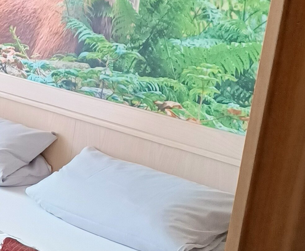 Hotel Schonblick主图