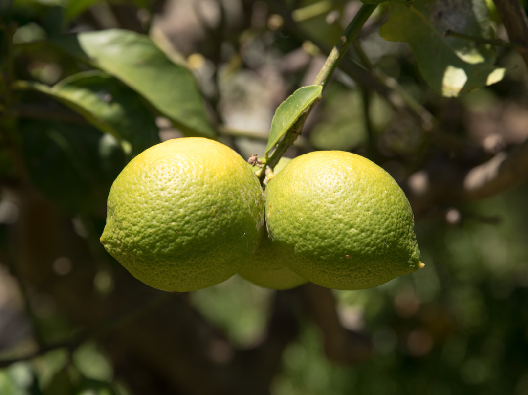 阿尔玛温泉旅馆主图