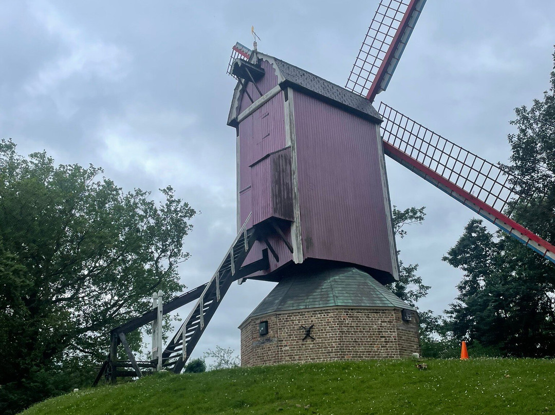 Windmills of Bruges景点图片