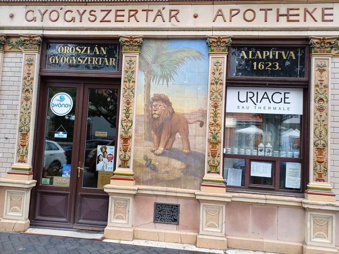 Sopron Old Town景点图片