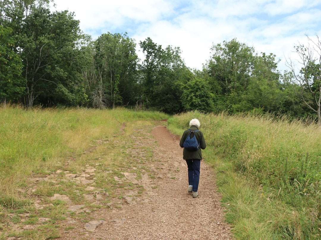 Cheddar Gorge Cliff-top Walk景点图片