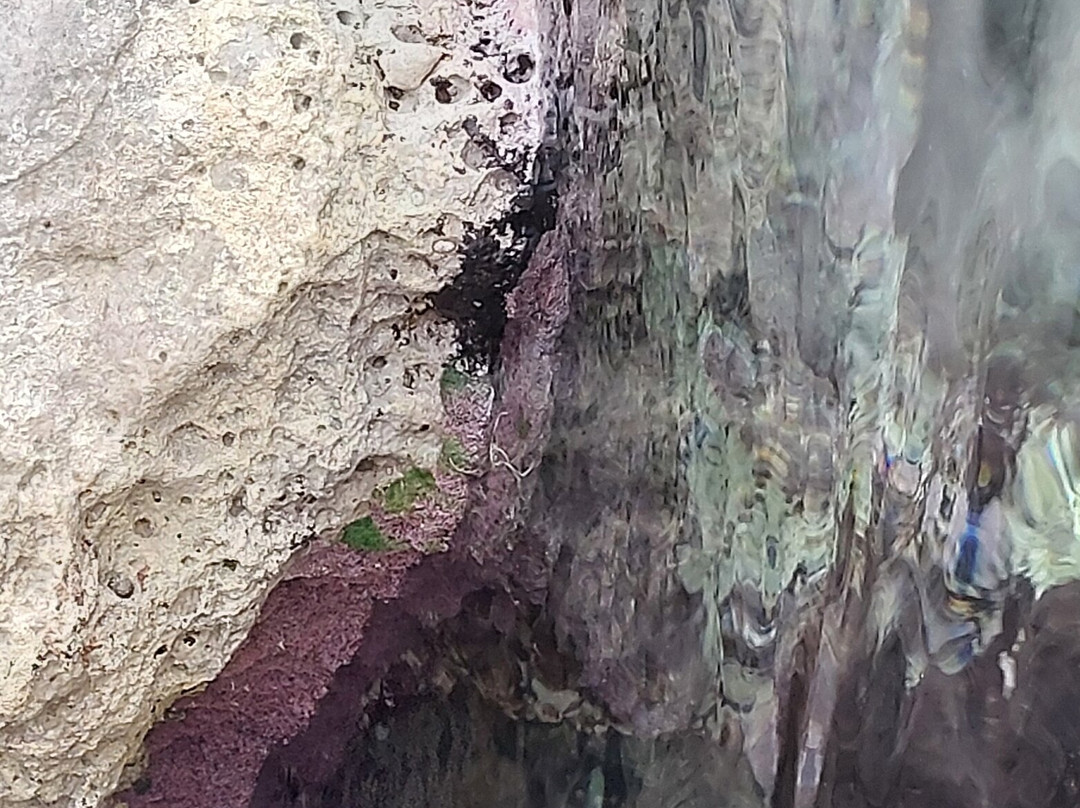Il-kalanka Beach-Marsaxlokk必去景点