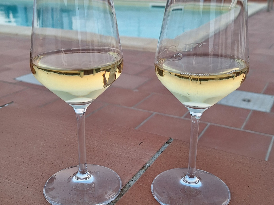 Locanda Rurale Santa Marta主图