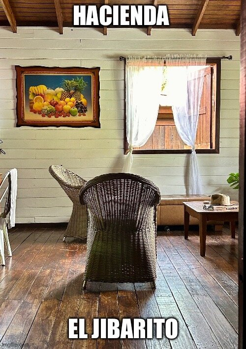 Hacienda El Jibarito主图