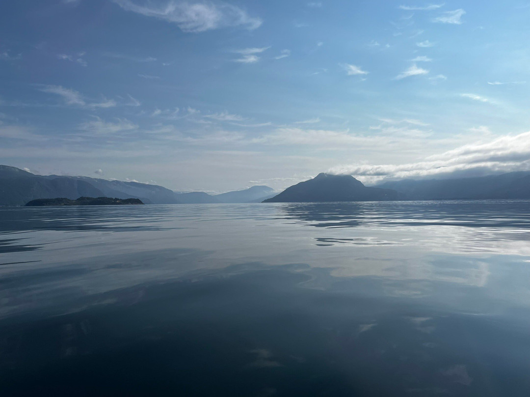 Norheimsund Rib Seafari景点图片
