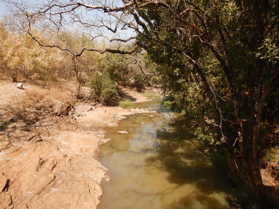Lilongwe Wildlife Centre-里朗威必去景点