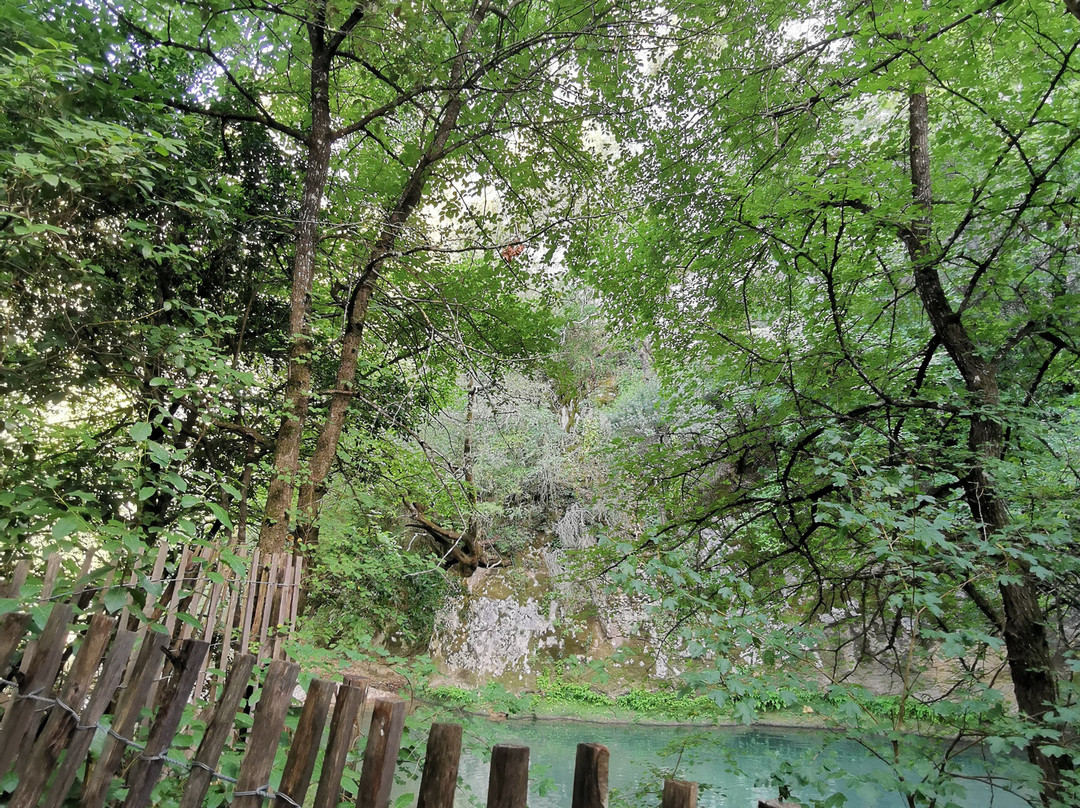 Vallon Sourn景点图片