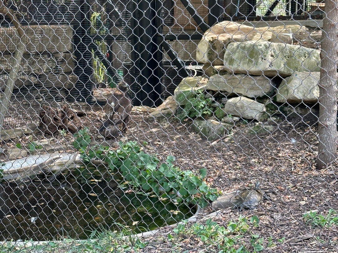Kansas Wildlife Exhibit-威奇托必去景点