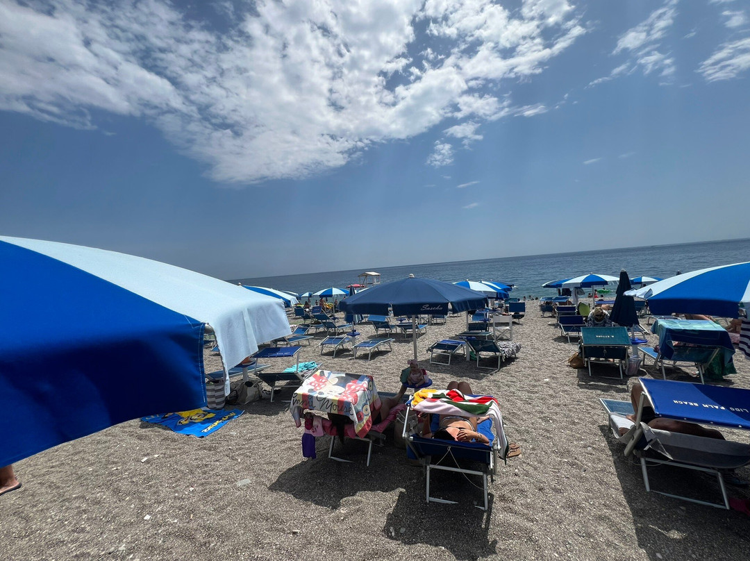 Lido Palm Beach景点图片