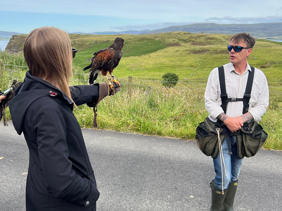 Skye Bird of Prey Experience景点图片