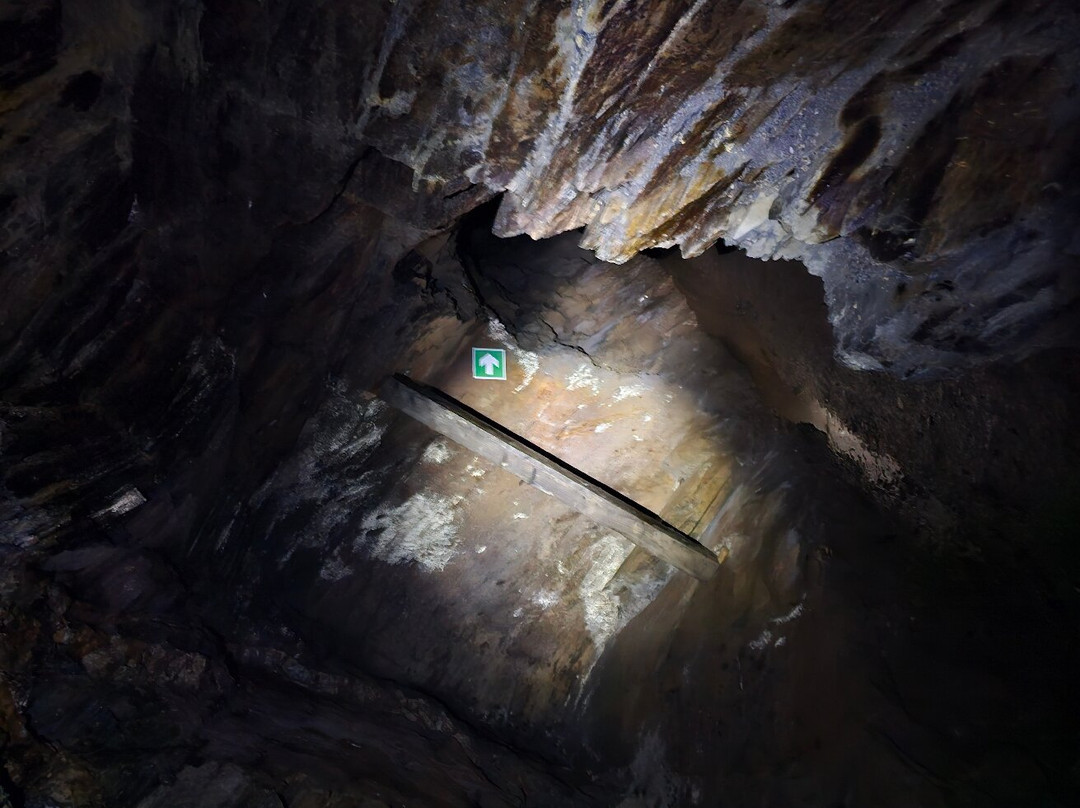 Dolaucothi Gold Mines-Llanwrda必去景点