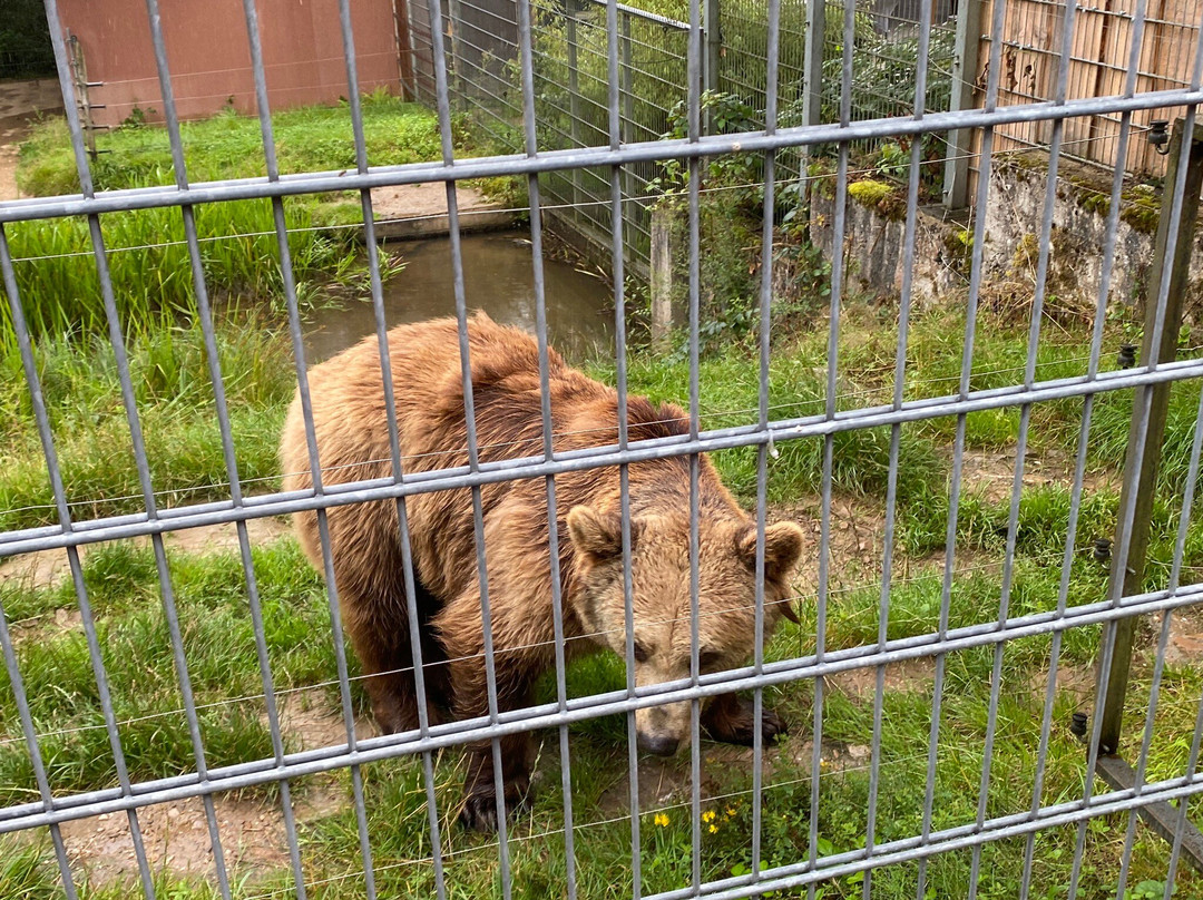Tierpark Rheinböllen-Rheinbollen必去景点