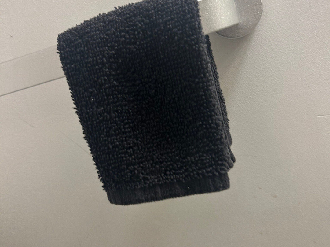 The Little Lion主图