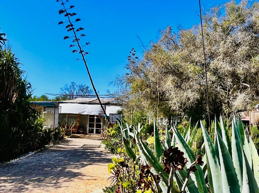 Jardin Michel Vu景点图片