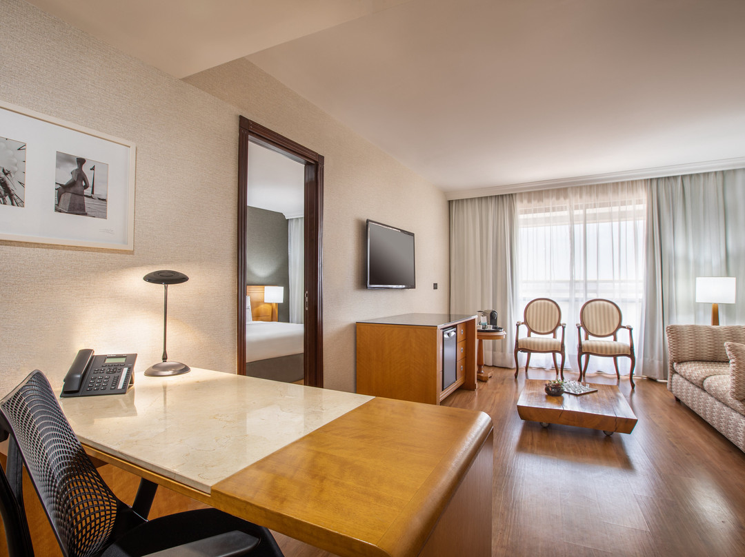 Melia Brasil 21主图