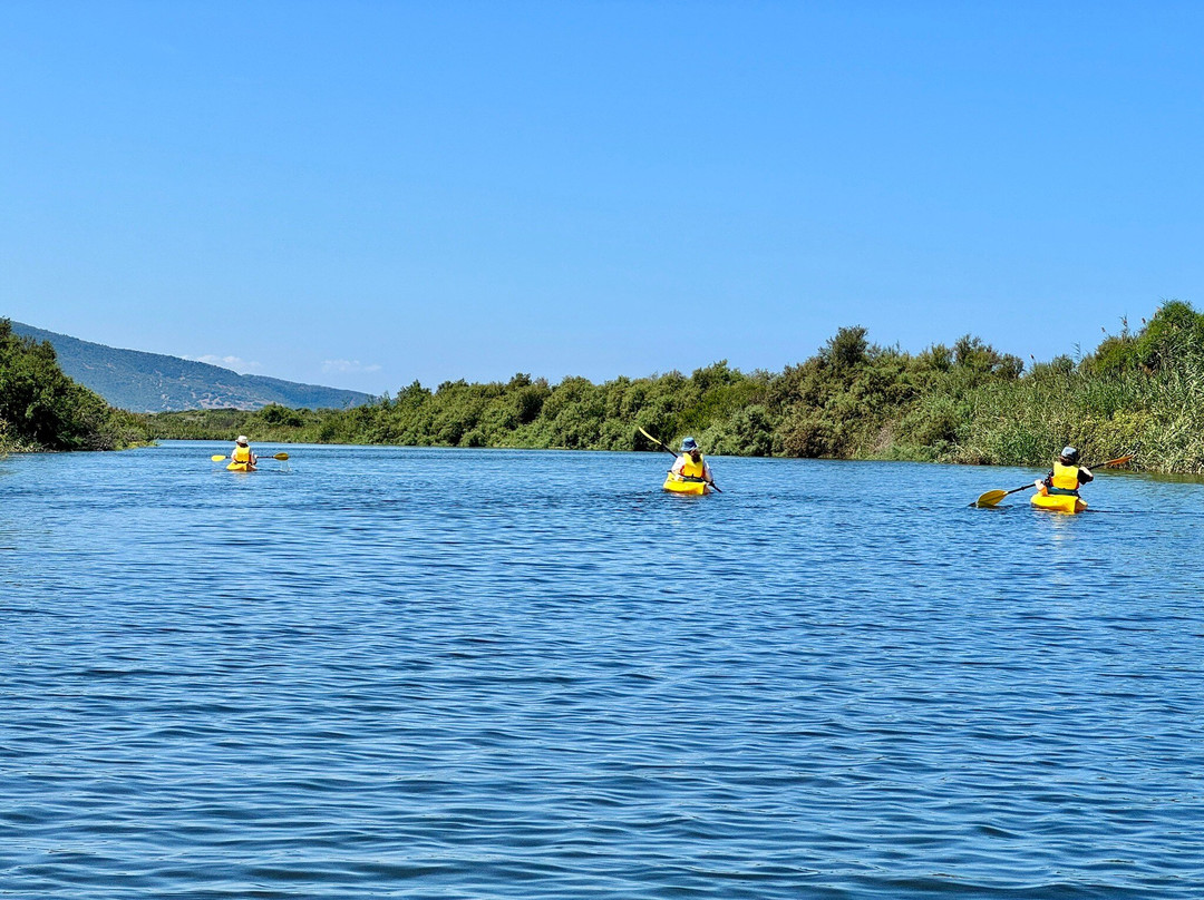 New Kayak Sardinia-Valledoria必去景点