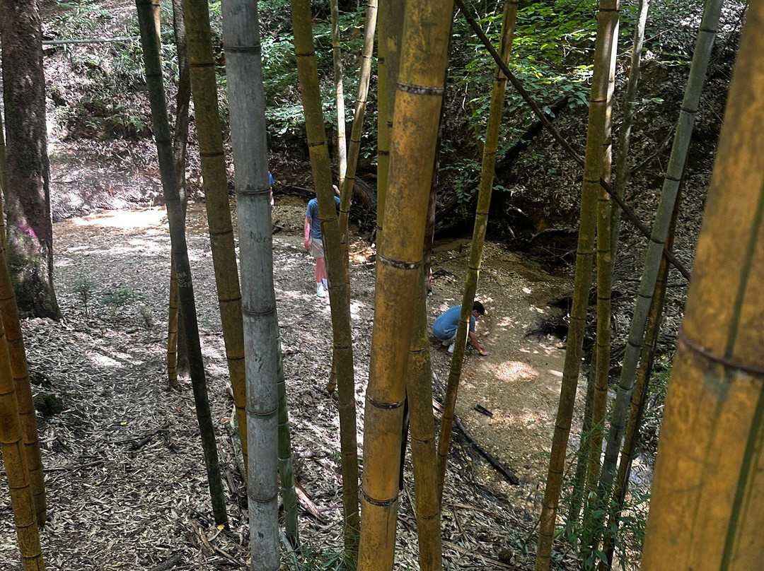 Wilderness Park-Prattville必去景点