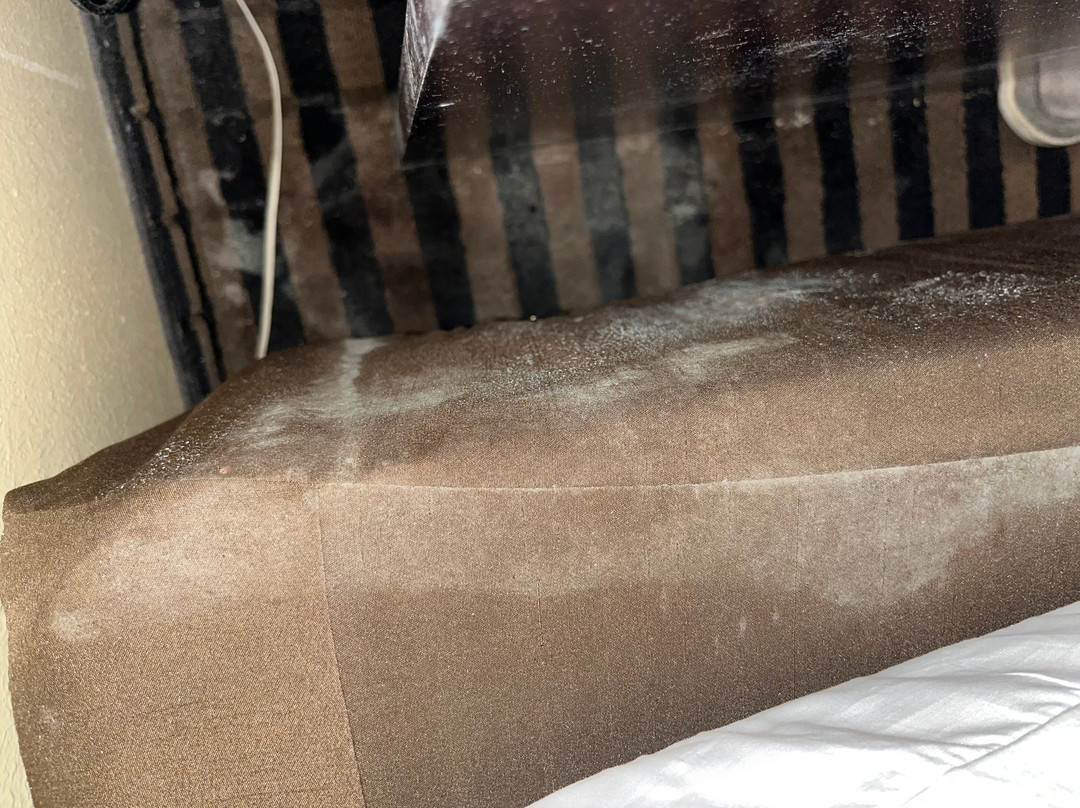 Best Western Mckenzie主图