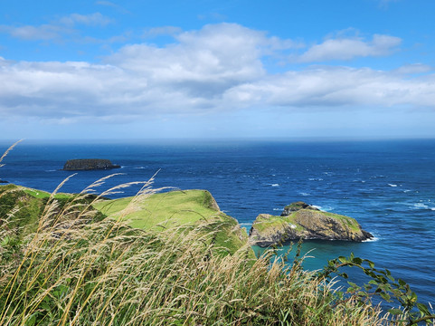 Paddywagon Tours-贝尔法斯特必去景点