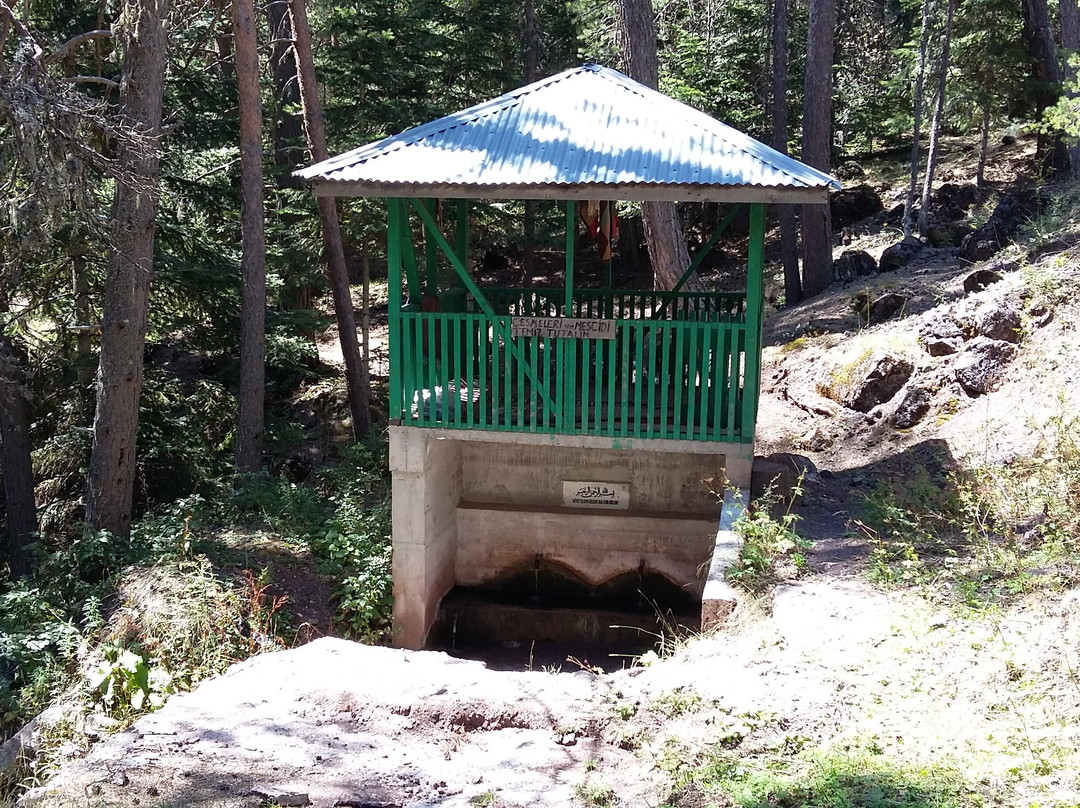 Yesil Gol景点图片