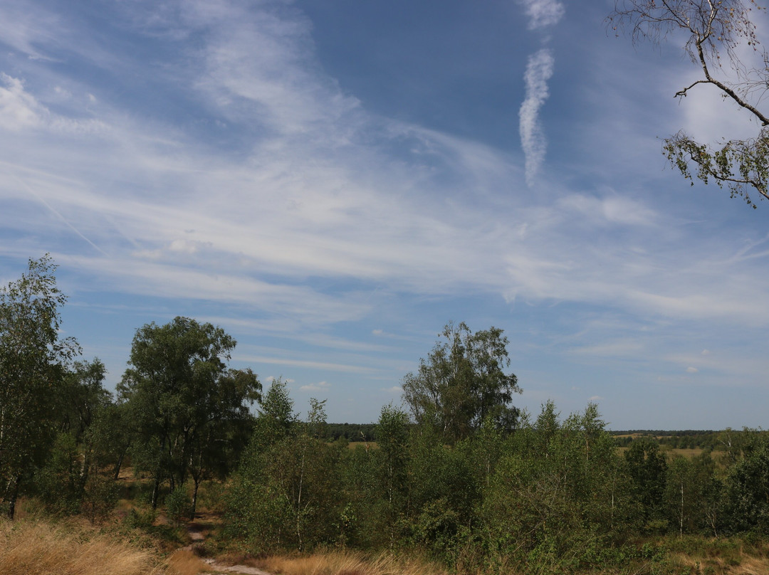 Langoed De Hamert, Wellerlooi-Wellerlooi必去景点