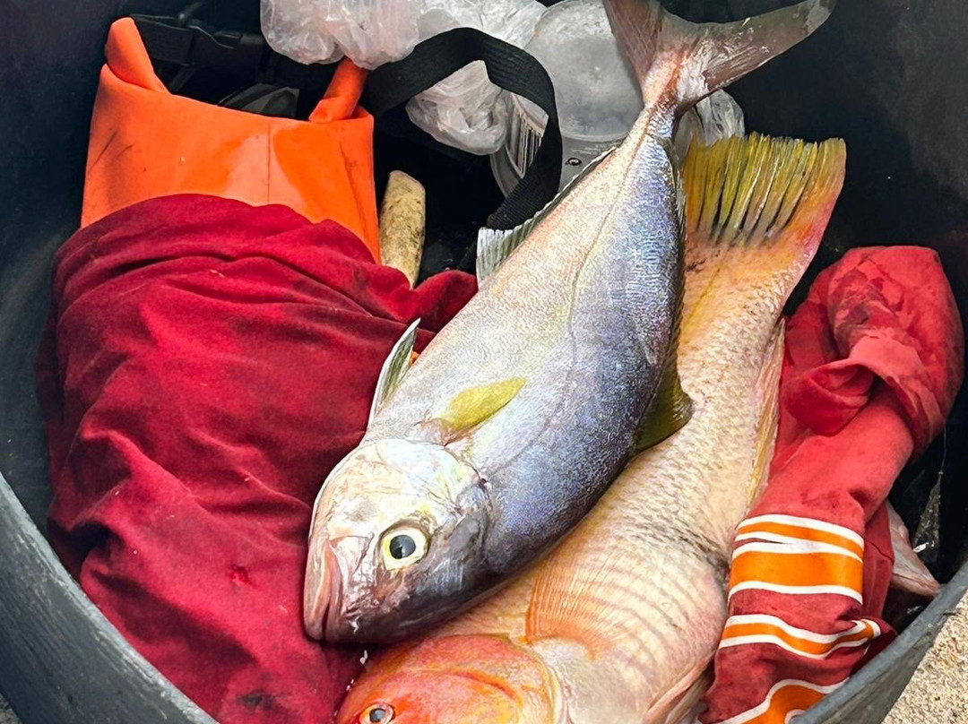 Chiringuito El Puertito